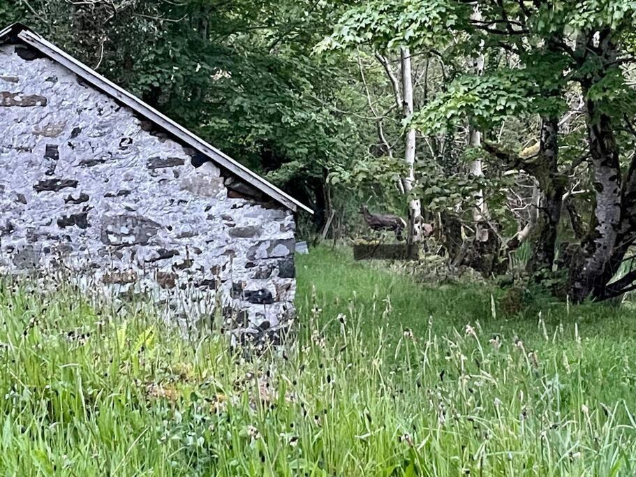 John The Mills Cottage Spahot Tub Private Beach Donegal Town ภายนอก รูปภาพ